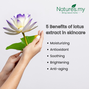 5 Benefits of lotus extract in skincare (3)
